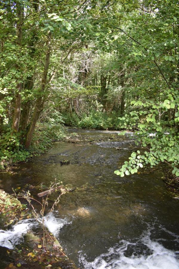 Le Moulin,19 Bis Rue De Beaudon, 45330 Augerville La Riviere Trezan Dış mekan fotoğraf